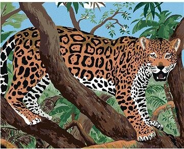 Jaguár na konári, 80 × 100 cm, plátno napnuté na rám