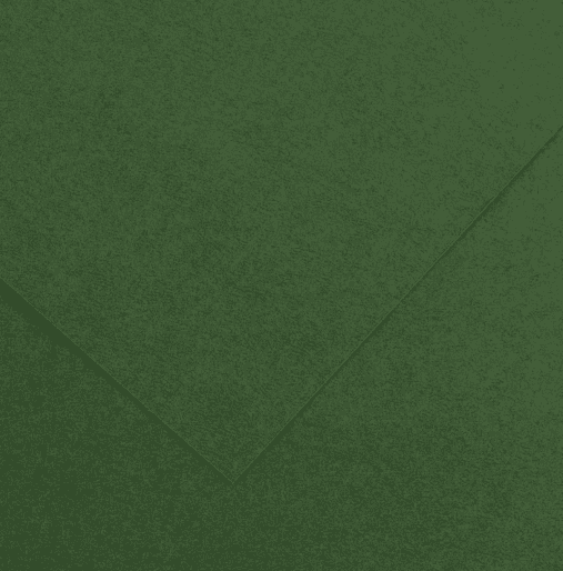 CANSON COLORLINE - Obojstranné farebné papiere 50 x 65 cm, 31 - fir tree, 10 ks