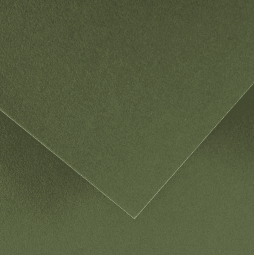 CANSON COLORLINE - Obojstranné farebné papiere 50 x 65 cm, 89 - khaki green, 10 ks