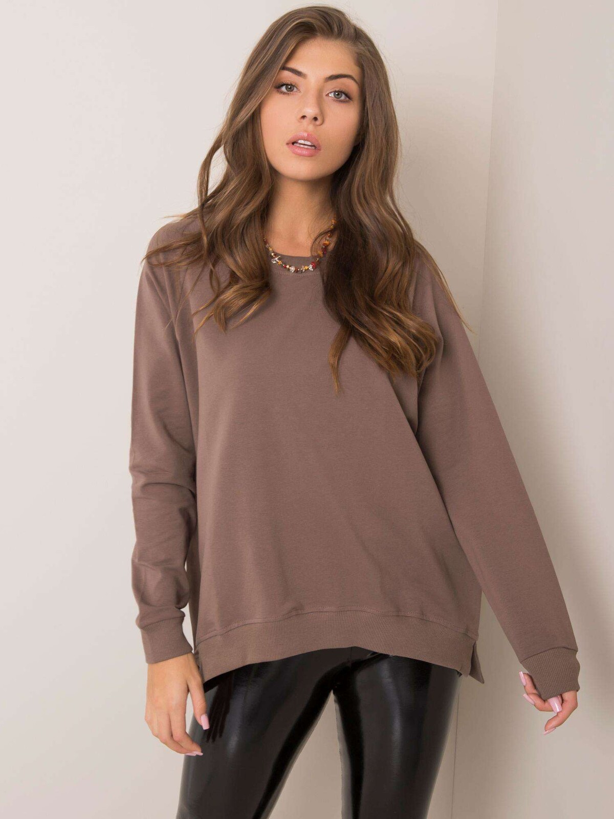 Sweatshirt-RV-BL-5850.11X-brown