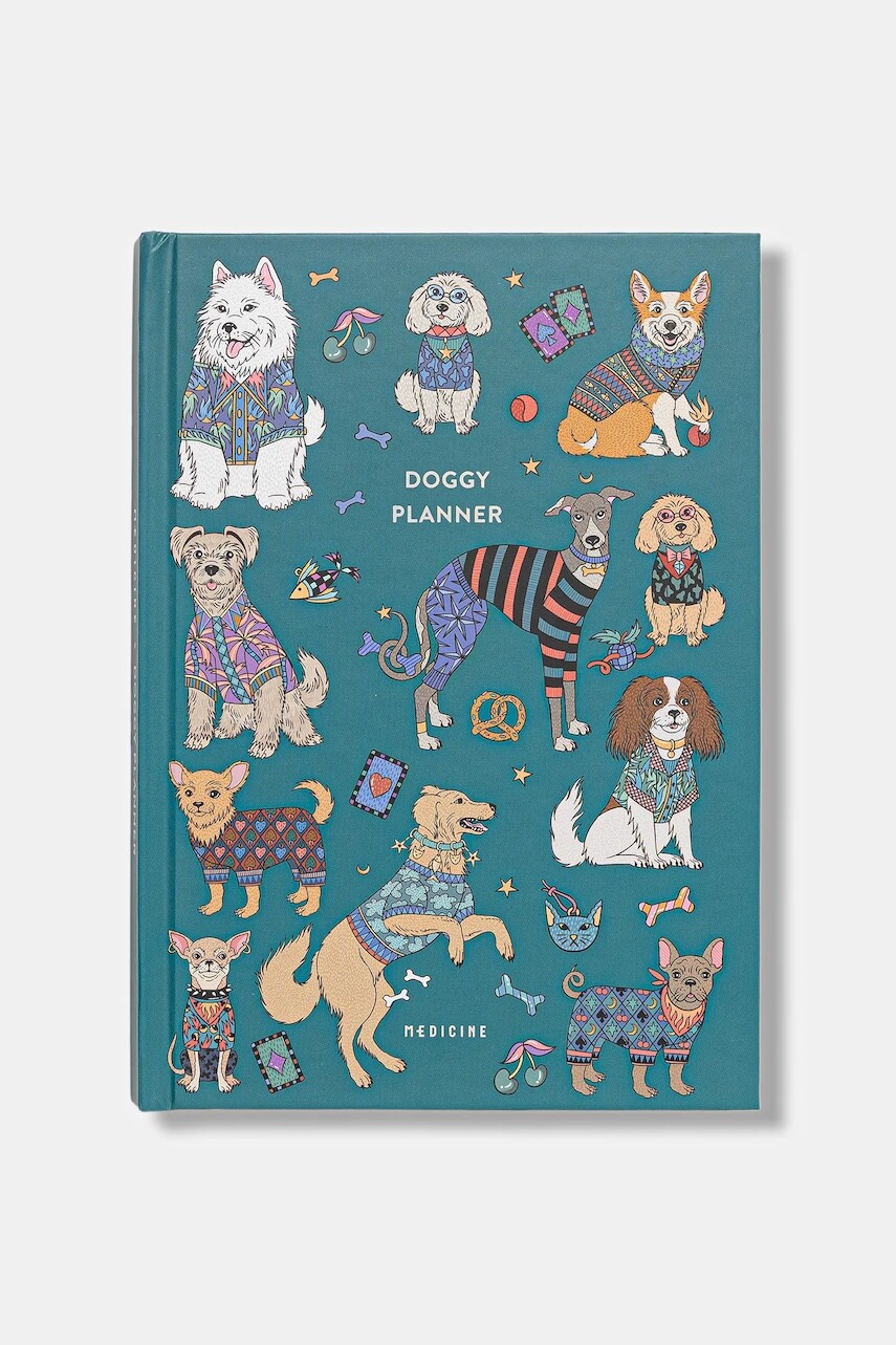 Plánovač Medicine viacfarebný