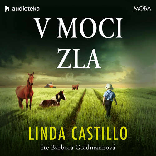 V moci zla - Linda Castillo (mp3 audiokniha)