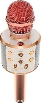 ISO Karaoke mikrofón s reproduktorom Izoxis