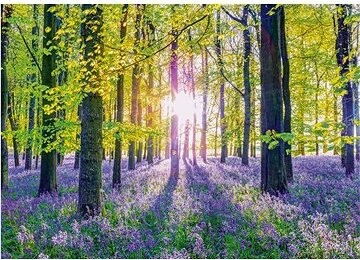 SCHMIDT Jemné modré zvončeky v lese 1000 dielikov