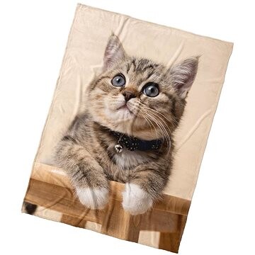 Kaptan Mikroplyšová deka Mačiatko Roľnička 150 × 200 cm