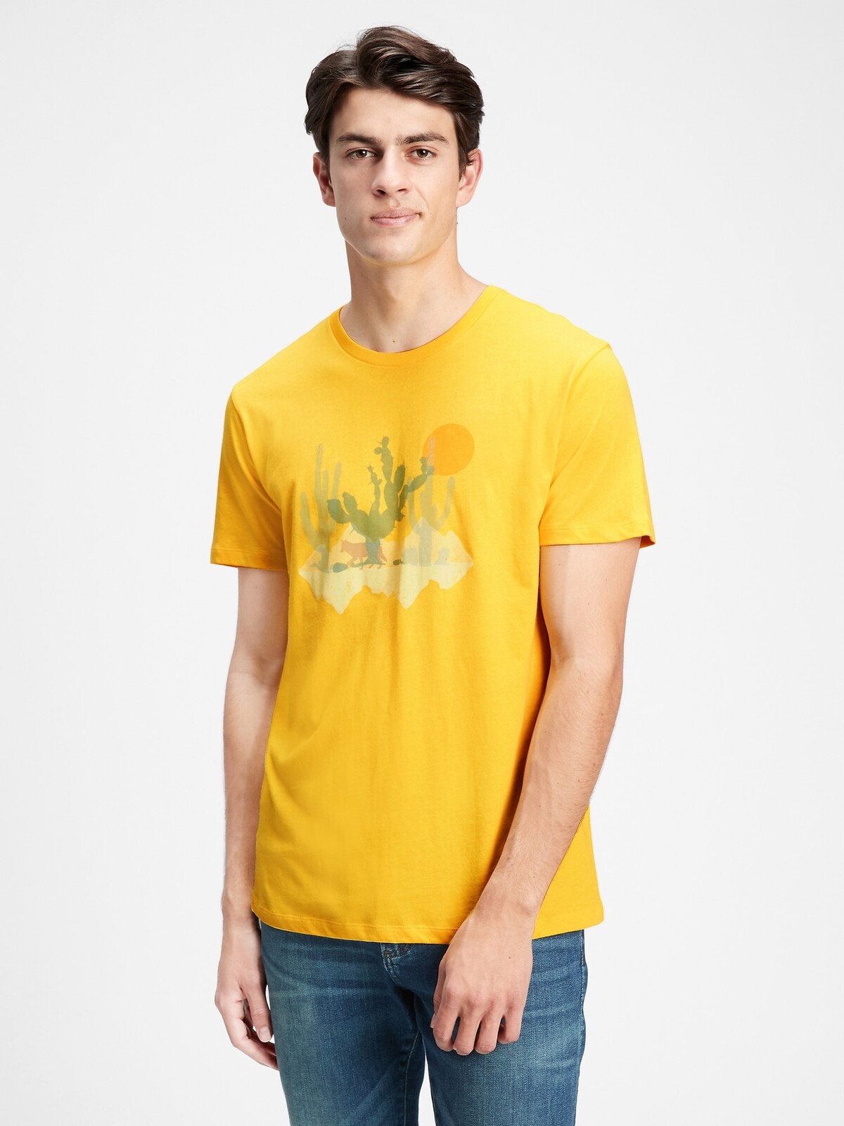 GAP T-shirt v-cactus grph - Men's