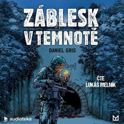 Záblesk v temnotě - Daniel Gris (mp3 audiokniha)