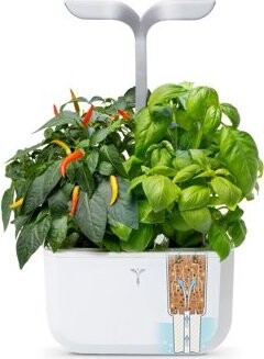 Véritable Exky CLASSIC