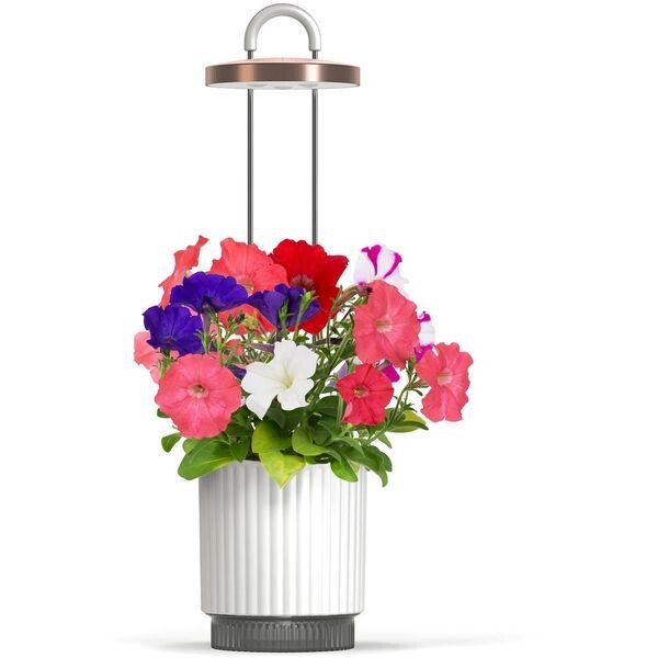 Smart Garden 1 Hydrovase, biela PCW-113