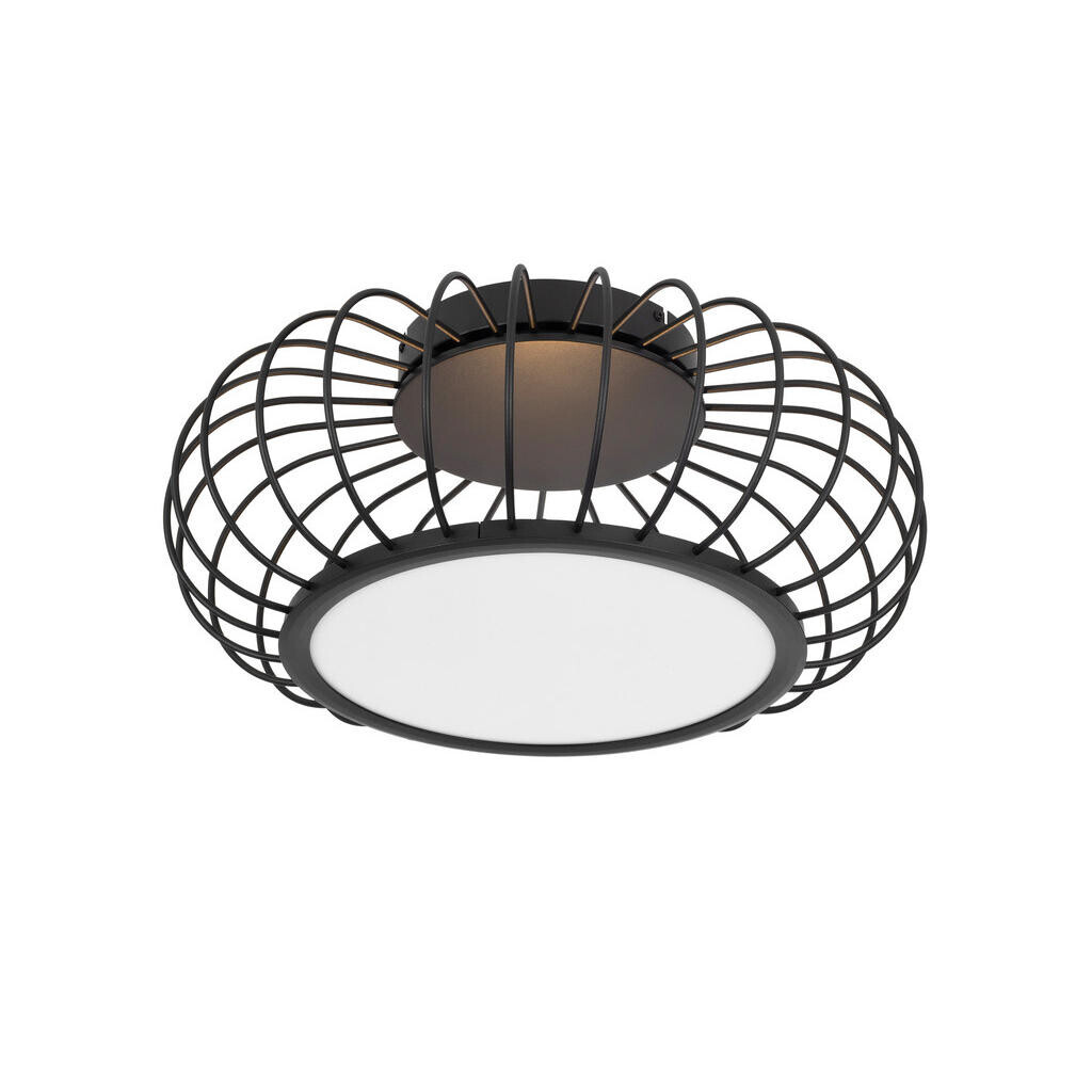 Dieter Knoll STROPNÉ LED SVIETIDLO, 55/23 cm