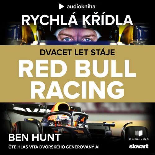 Rychlá křídla - Ben Hunt (mp3 audiokniha)