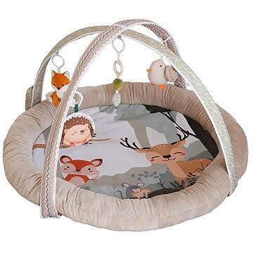 Bo Jungle Borneo Music & Light