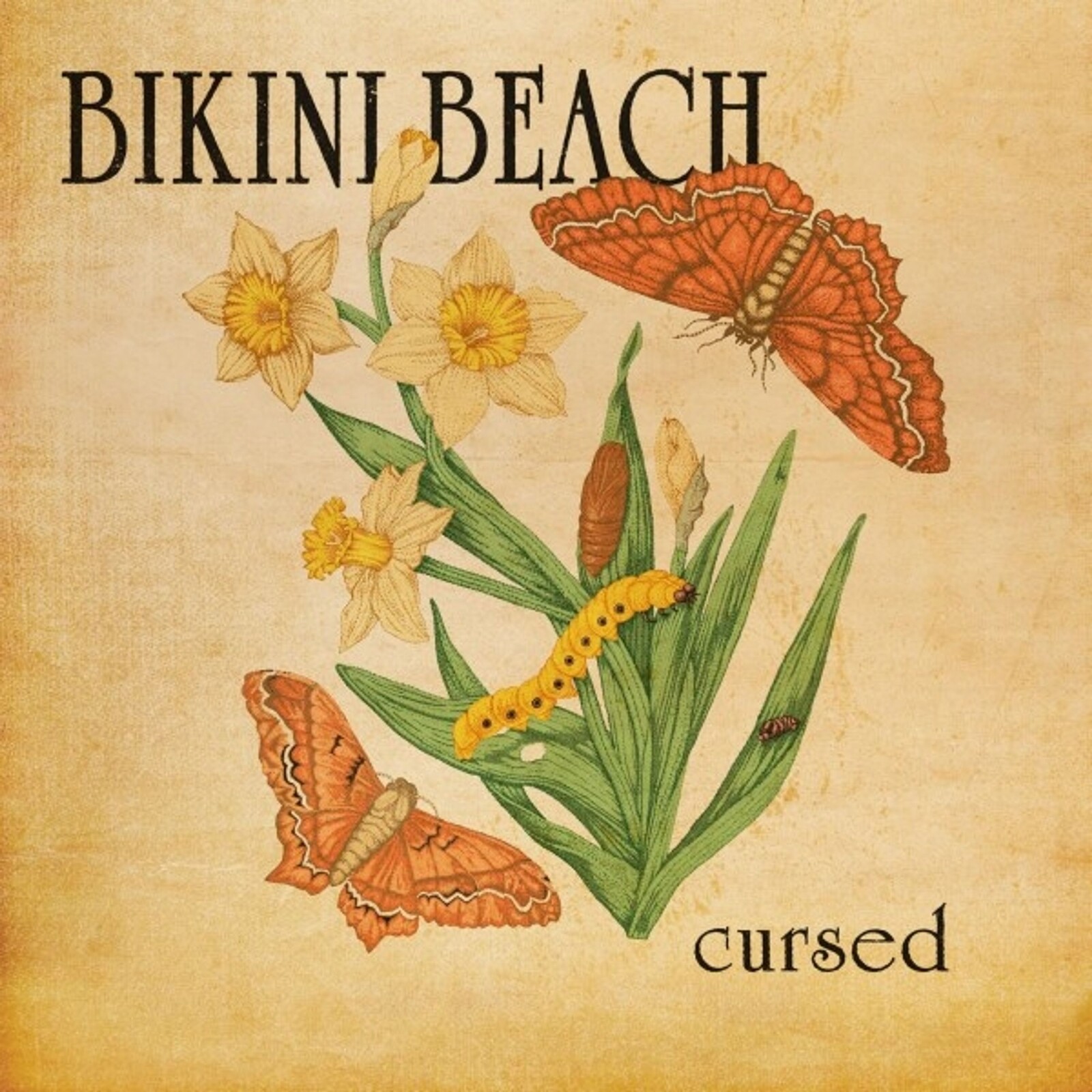 Bikini Beach, CURSED, CD