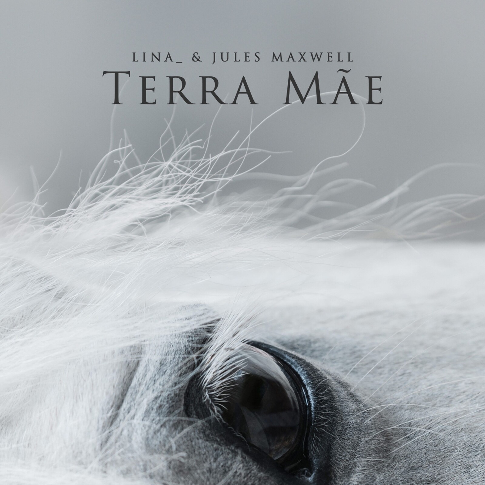 Lina & Jules Maxwell, TERRA MAE, CD