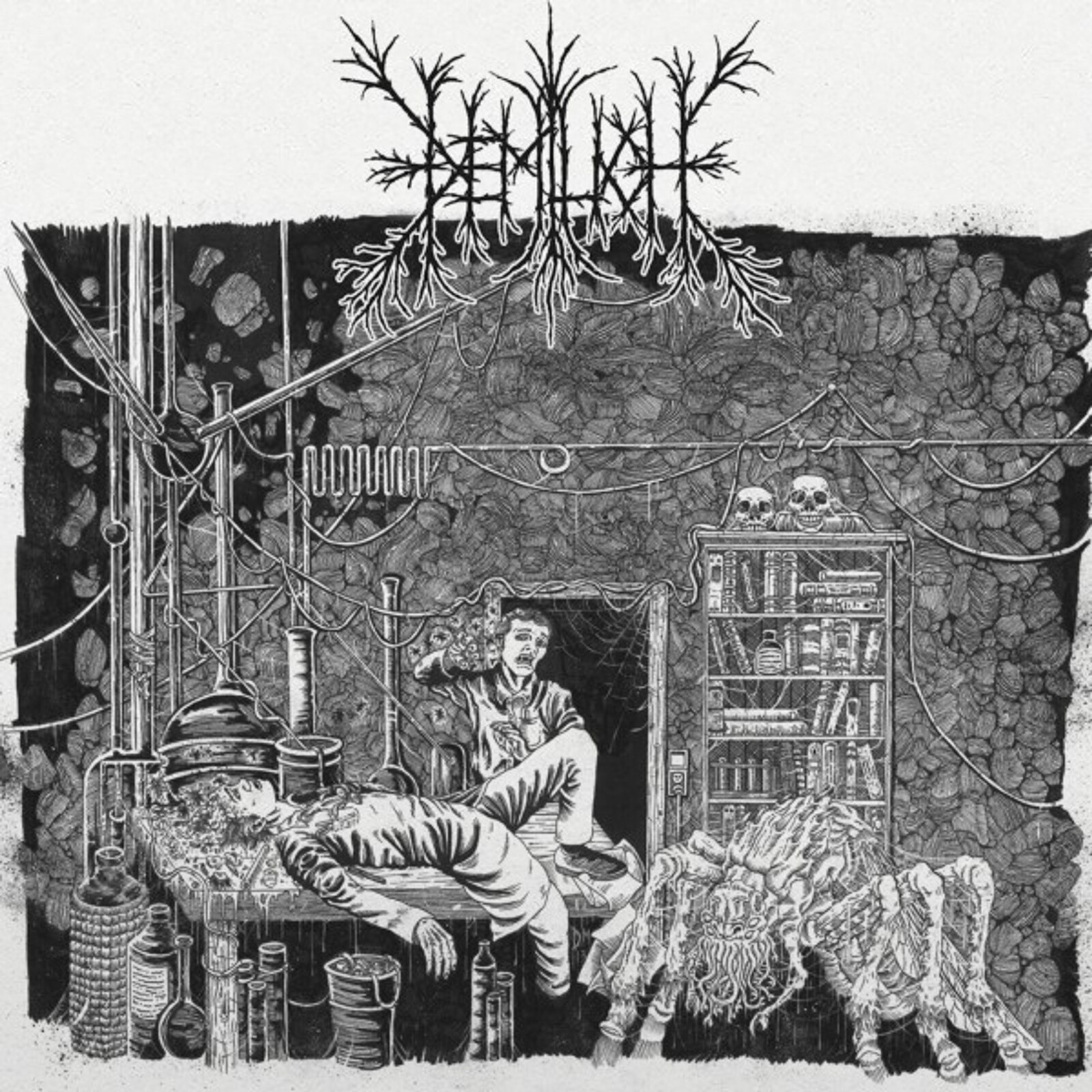 Demilich, EM9T2NESS OF VAN2S1ING / V34ISH6NG 0F EMPTINESS, CD