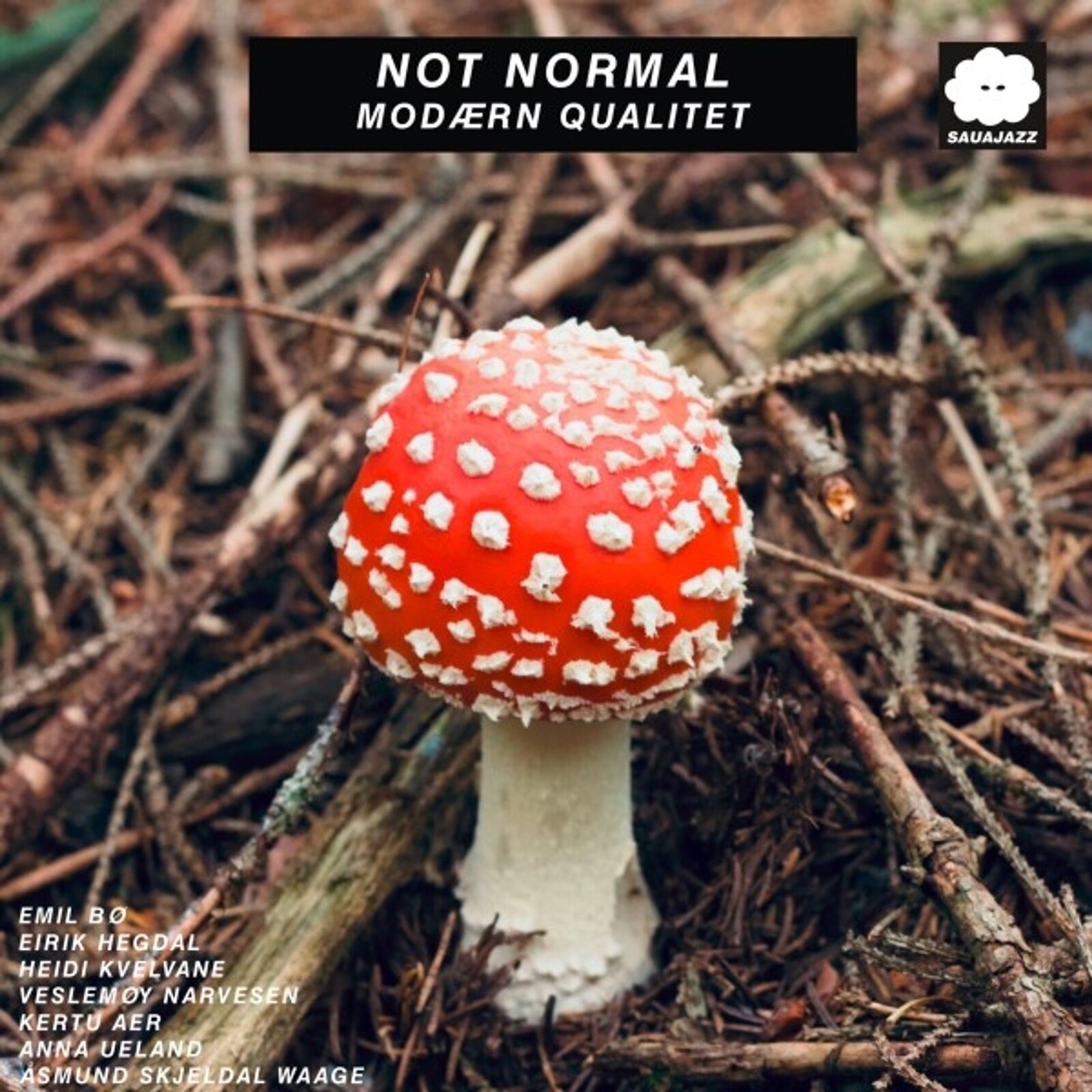 Not Normal, MODAERN QUALITET, CD