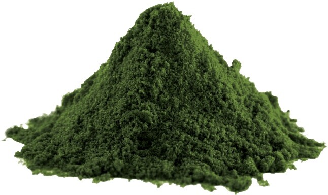 Lifelike spirulina prášek 100 g prešla dmt 25.10.2025