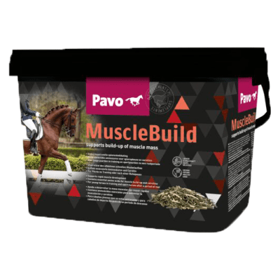 PAVO Muscle Build