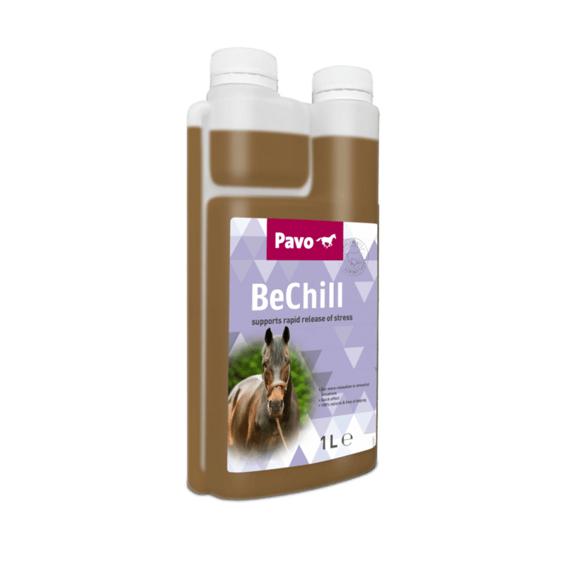 Pavo BeChill NEW 1 l