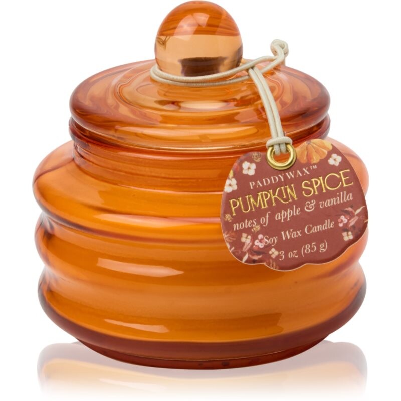 Paddywax Pumpkin Spice vonná sviečka 58 g