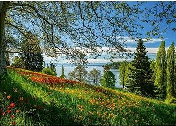 Schimdt Puzzle Kvitnúce tulipány na ostrove Mainau 1000 dielikov