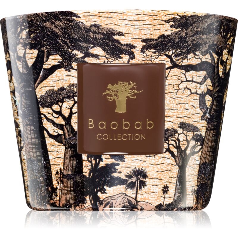 Baobab Collection Sacred Trees Mankono vonná sviečka 500 g
