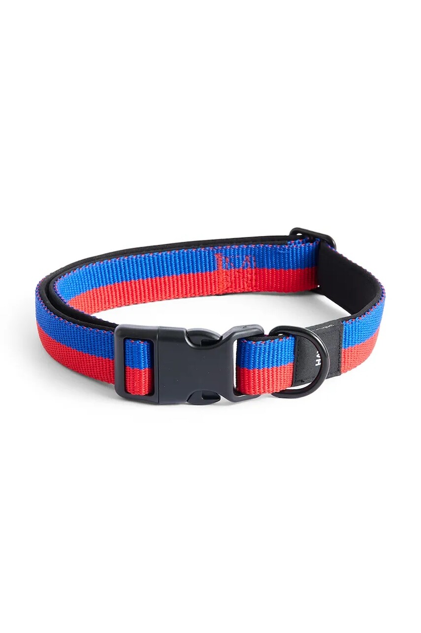 Obojok pre psa HAY M/L 2,5 x 40-65 cm