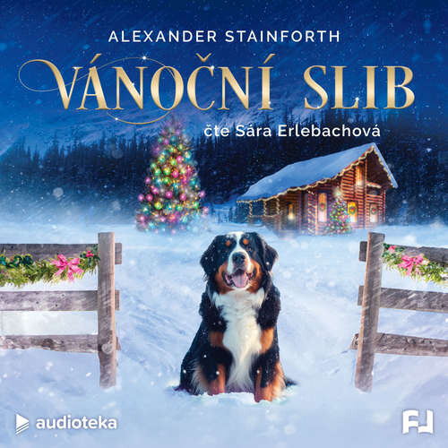 Vánoční slib - Alexander Stainforth (mp3 audiokniha)