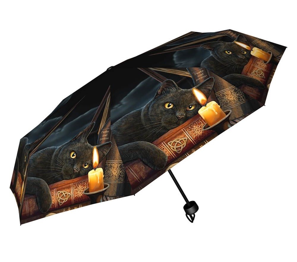 Dáždnik s mačkou a knihami - design Lisa Parker