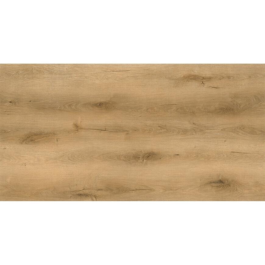 Vinylová podlaha lepená Dub Portland 1808-2DB 2.0/0,45 mm DryBack