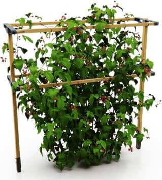 Gusta Garden BERRY BUDDY podporná mreža 120 cm
