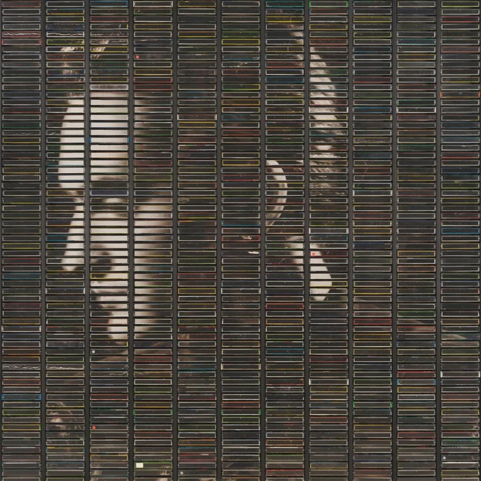 Stephan Eicher, POUSSIERE D'OR, CD