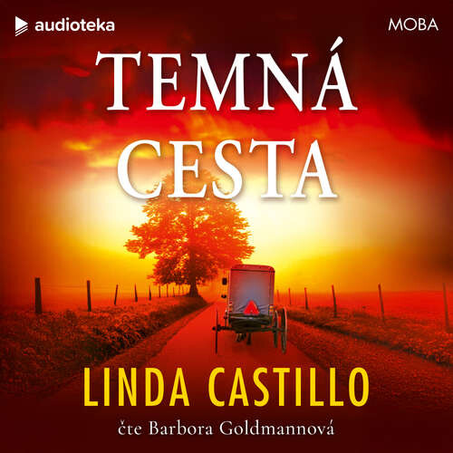 Temná cesta - Linda Castillo (mp3 audiokniha)
