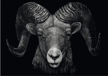 SCHMIDT Puzzle zvieracie vlastnosti – Dominancia barana: Stelesnenie ohňa 1000 dielikov