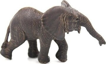 Atlas - Sloníča africké