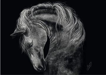 SCHMIDT Puzzle zvieracie vlastnosti – Sila koňa: Stelesnenie moci 1000 dielikov