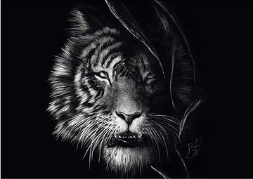 SCHMIDT Puzzle zvieracie vlastnosti – Divokosť tigra: Stelesnenie slobody 1000 dielikov