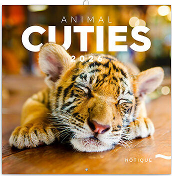 NOTIQUE Mláďatá 2026 poznámkový, 30 × 30 cm