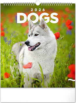 NOTIQUE Psy 2026, 30 × 34 cm