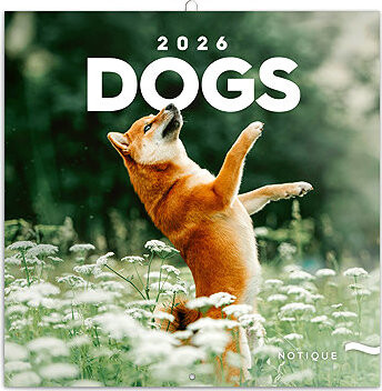 NOTIQUE Psy 2026 poznámkový, 30 × 30 cm