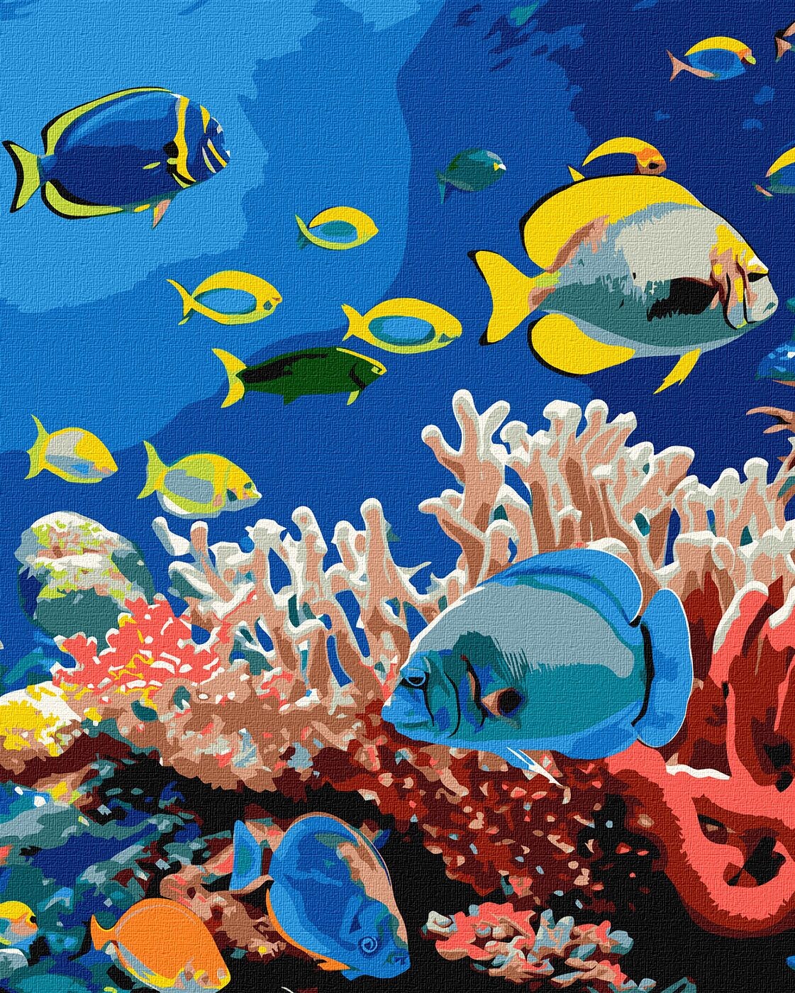 Ideyka Maľovanie podľa čísel - Život v oceáne 40 x 50 cm