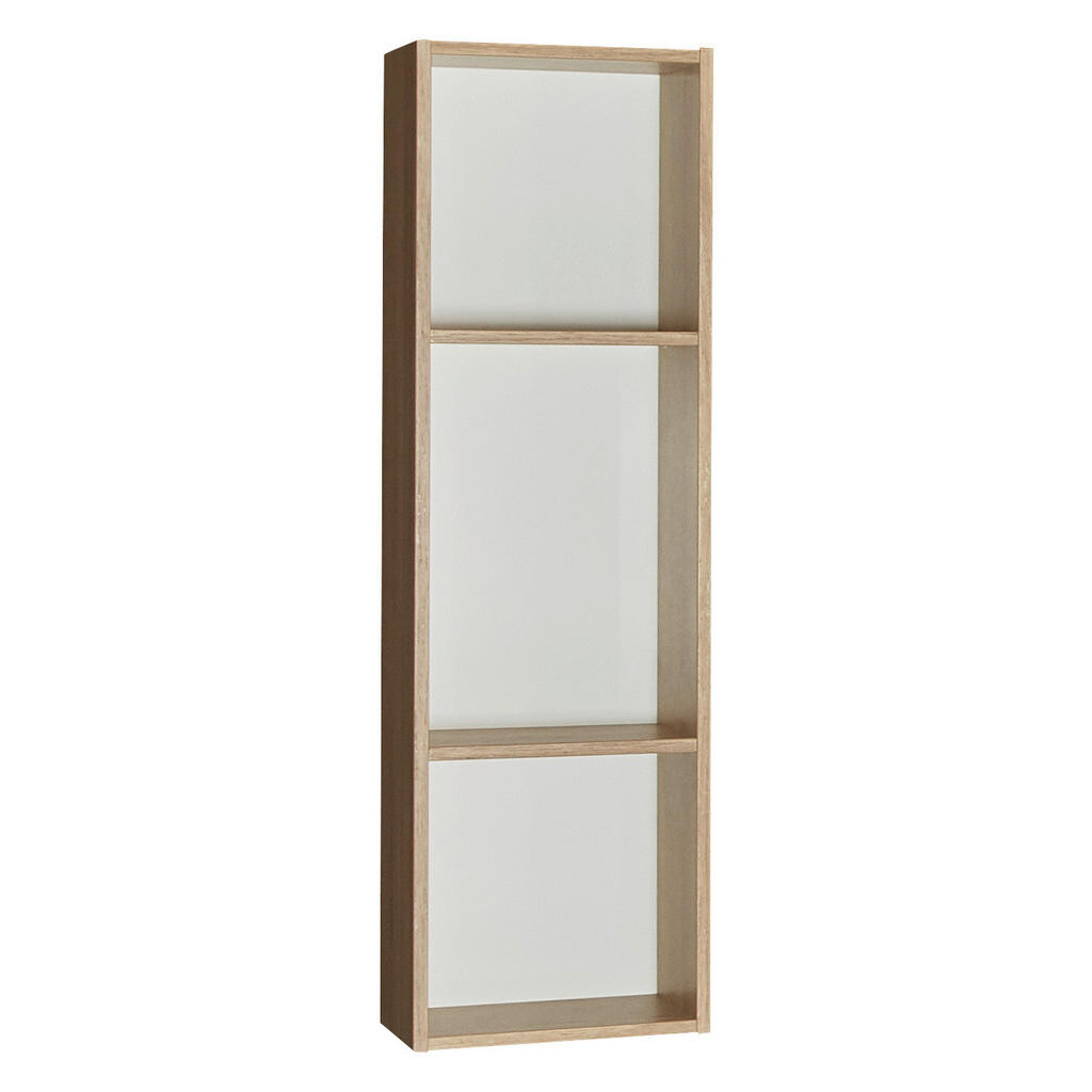 Dieter Knoll NÁSTENNÝ REGÁL,