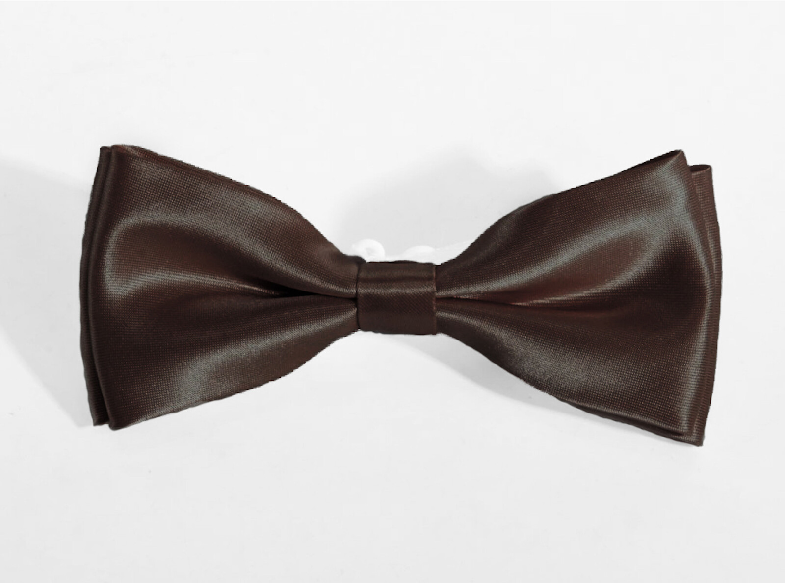 Hnedý pánsky motýlik