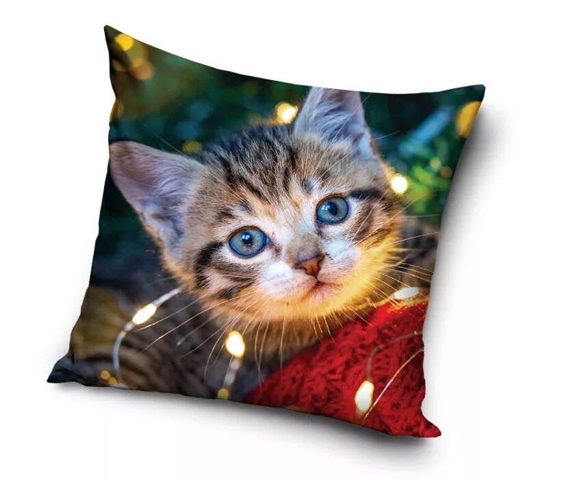 Mačacia mama Zamatový vankúš s mačkou Marie (obliečka)