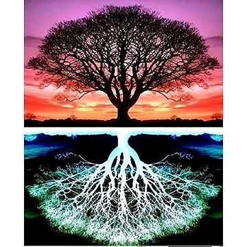 Norimpex Strom 30 × 40 cm