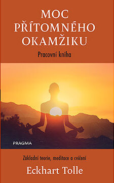 Moc přítomného okamžiku – pracovní kniha