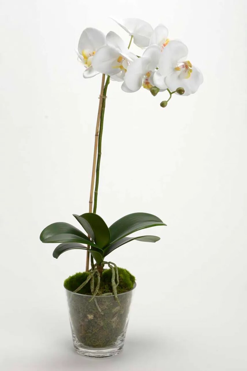 Umelá rastlina v kvetináči home & lifestyle 63.5 cm