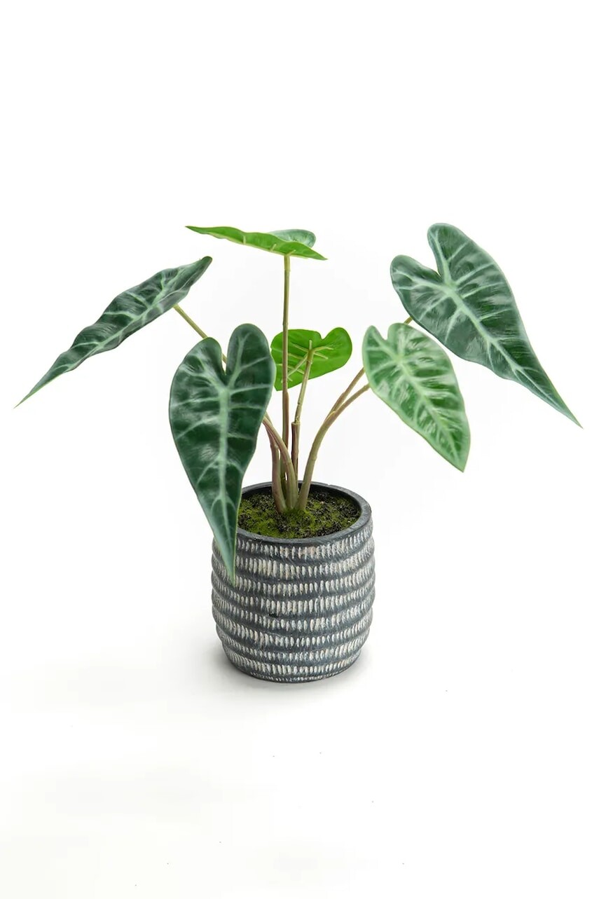 Umelá rastlina v kvetináči home & lifestyle 30 x 27 cm