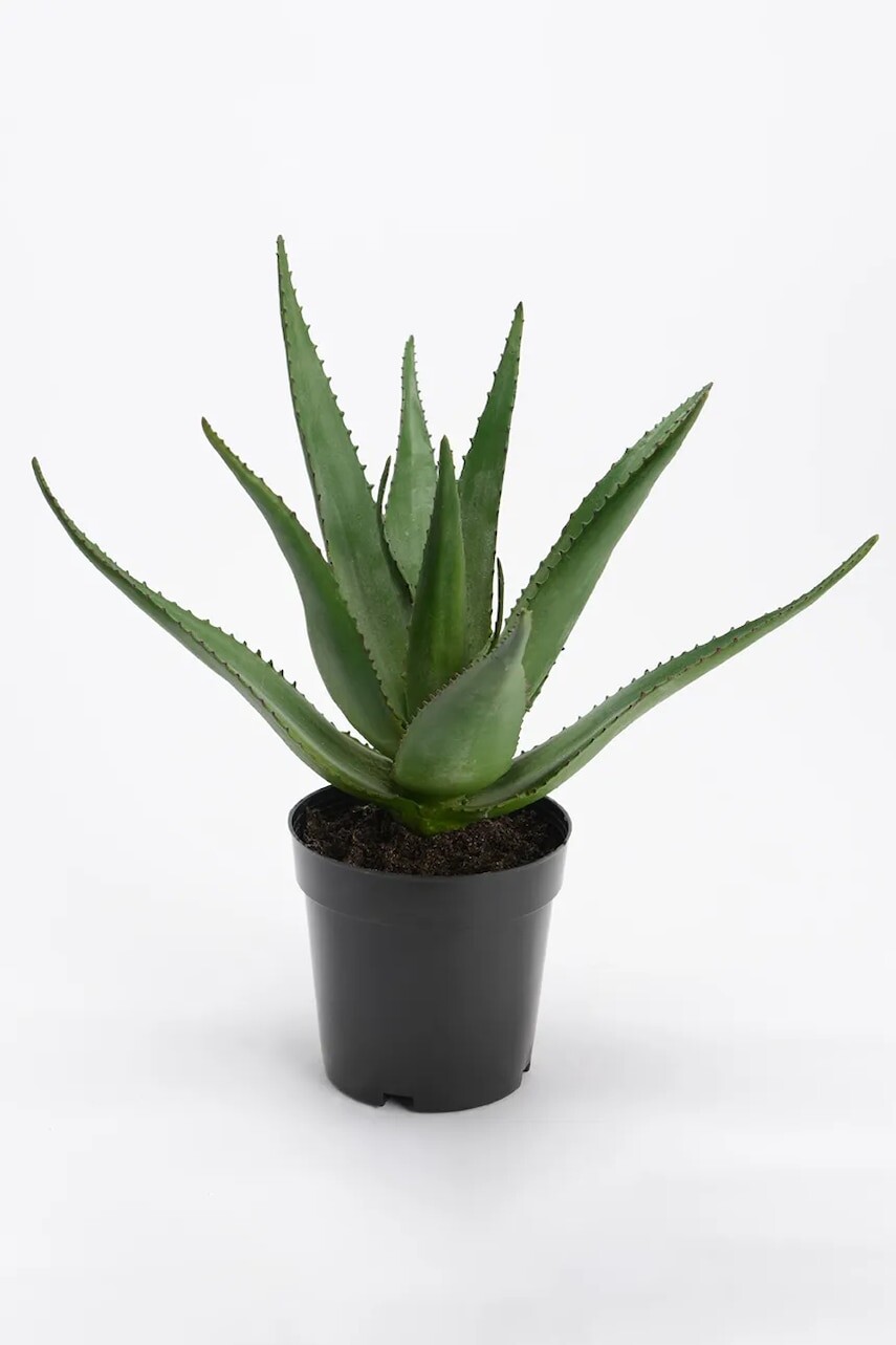 Umelá rastlina v kvetináči home & lifestyle 38 cm