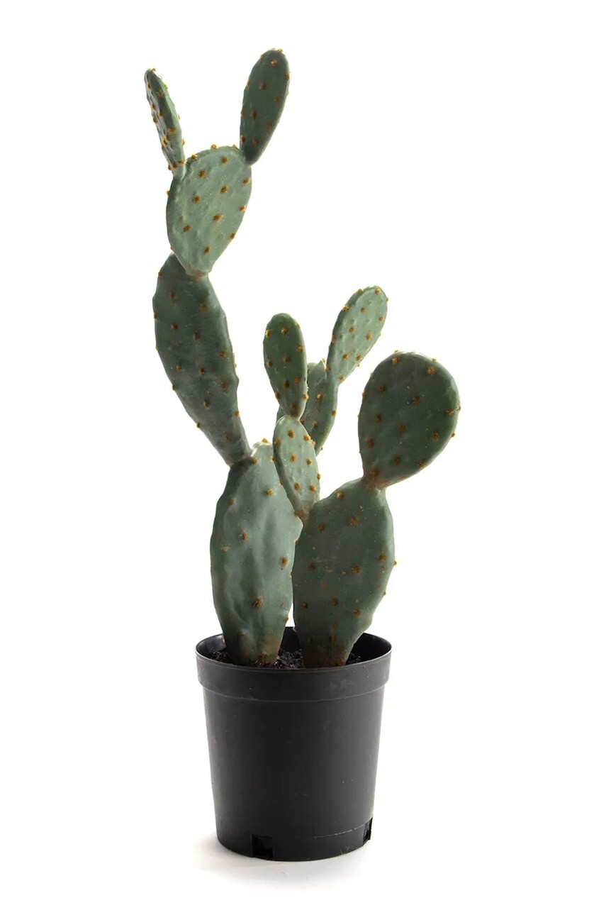 Umelá rastlina v kvetináči home & lifestyle 62 cm